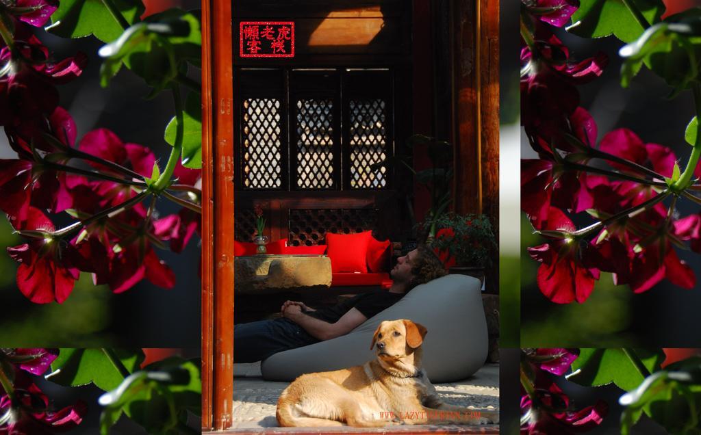 Lazy Tiger Inn Lijiang  Exterior photo